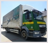 DAF  LF250. 16t, čelo, 18palet